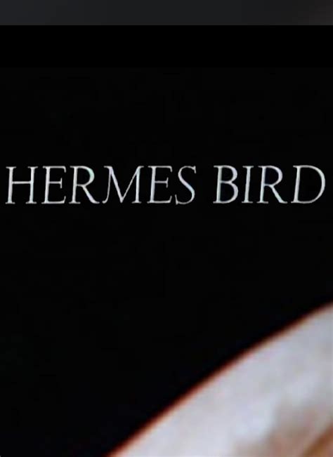 hermes bird 1979|Hermes Bird (Short 1979) .